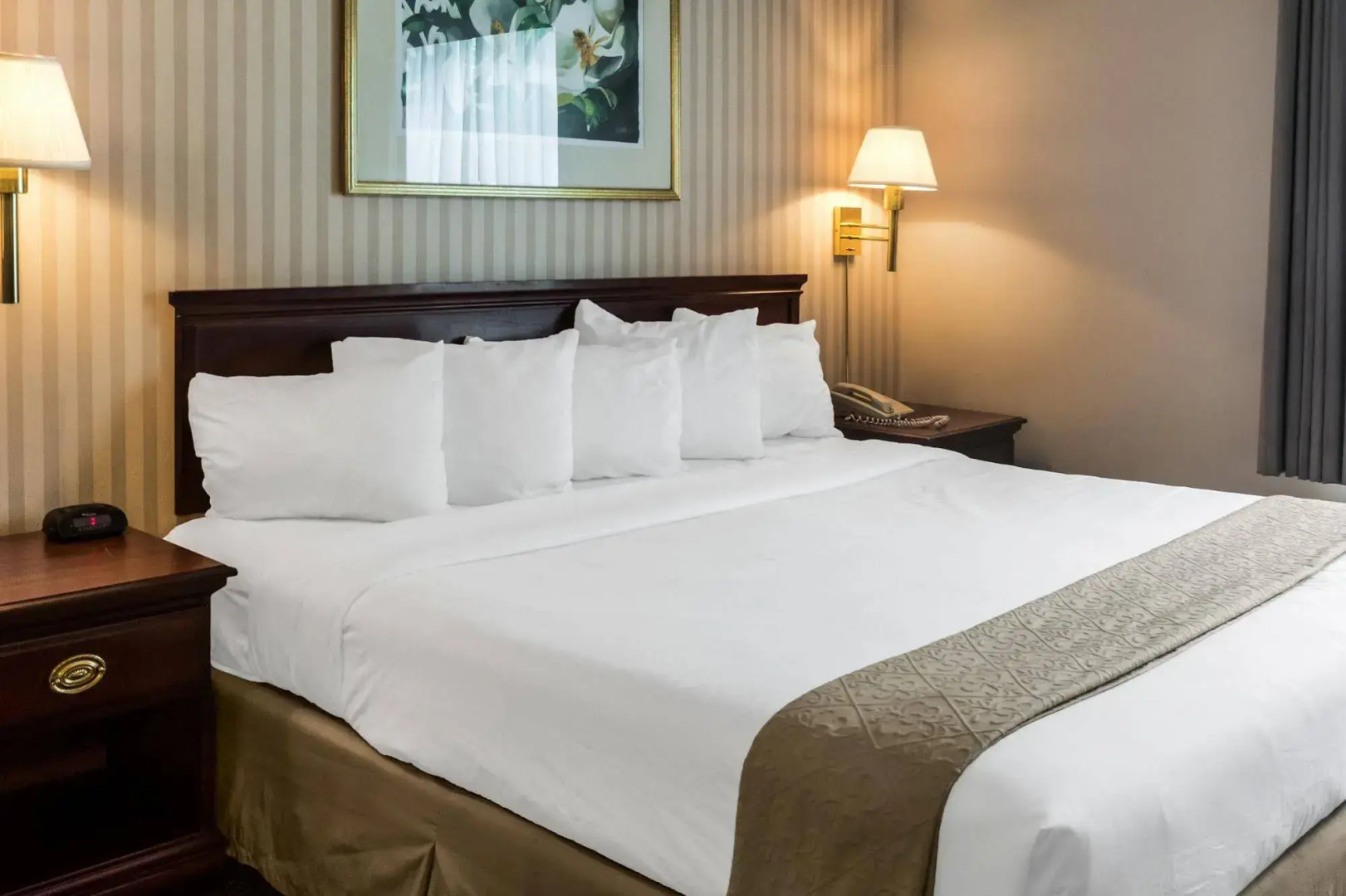 Quality Suites Lake Wright - Norfolk Airport