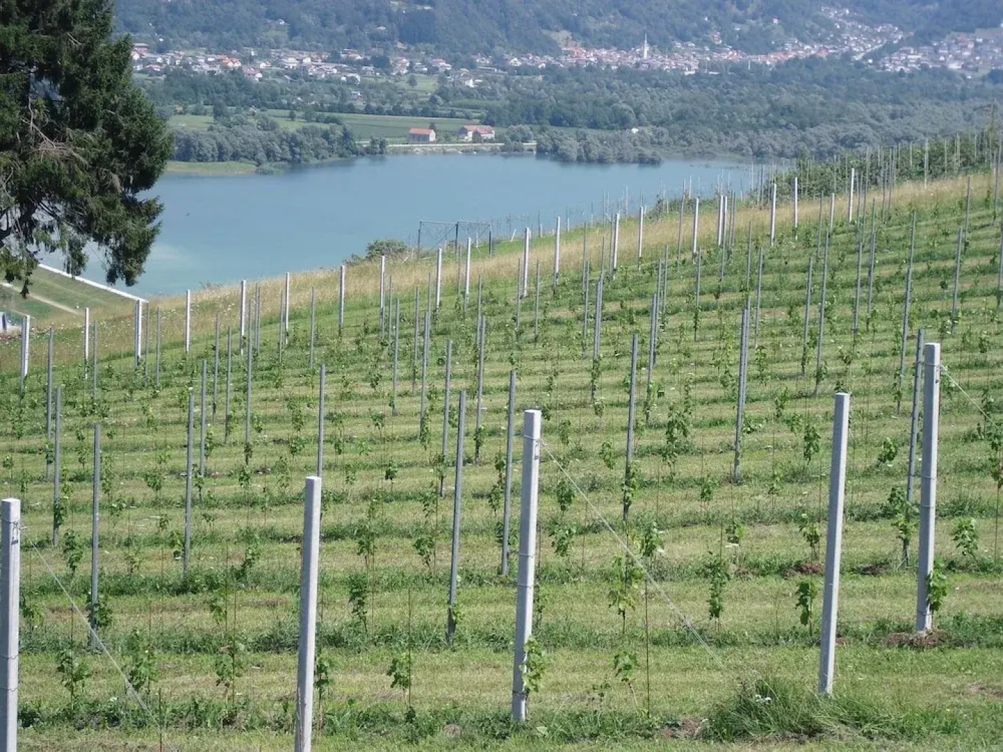 Agriturismo Cornolade