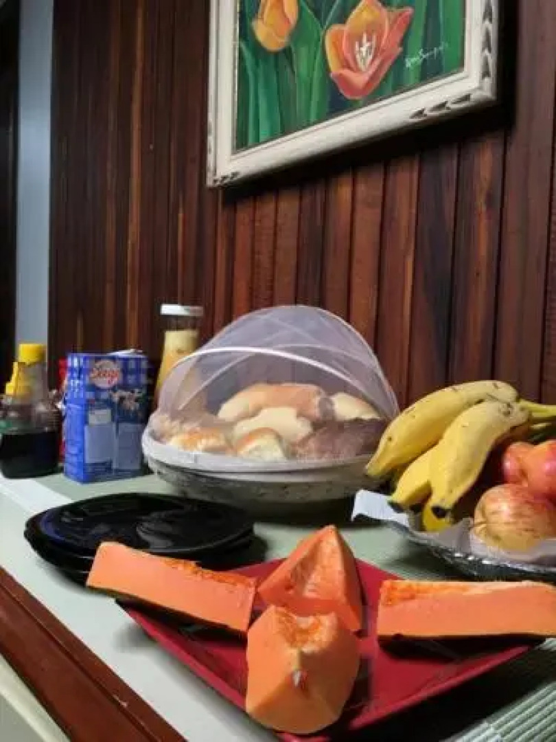 Charme na Serra Guesthouse