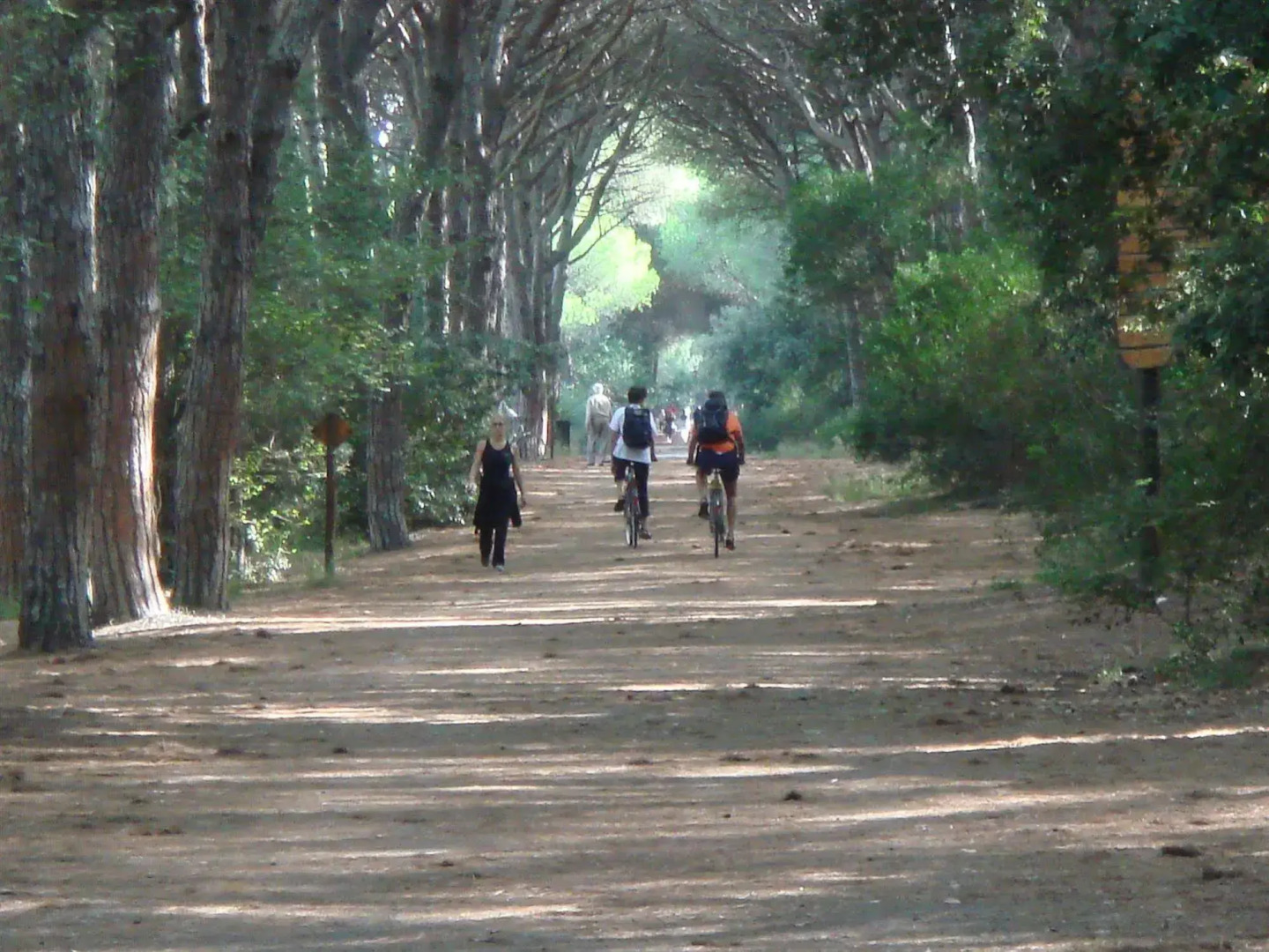 New Camping Le Tamerici