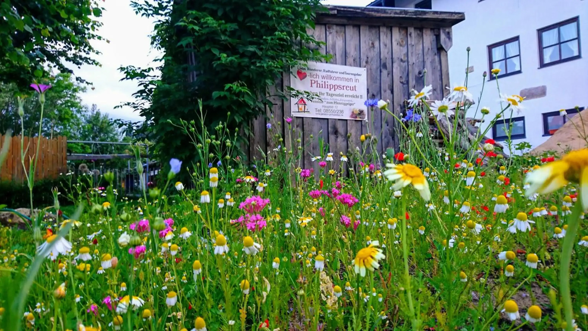 Pension Philippsreut "Zum Pfenniggeiger"