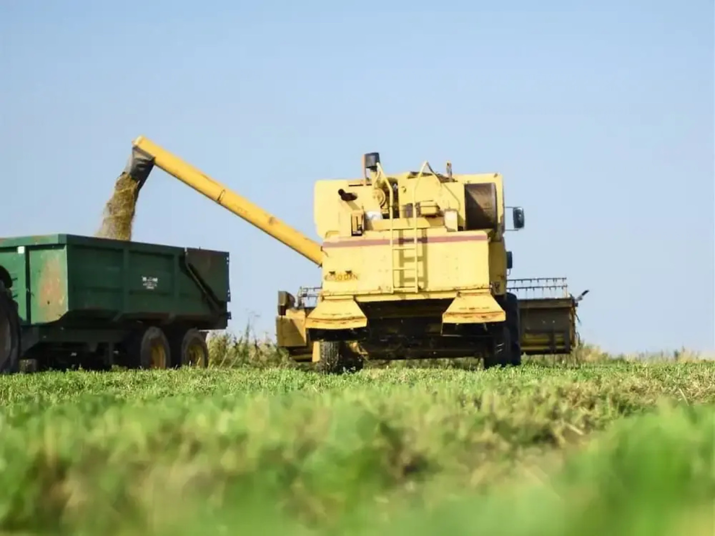 Helen Browning's Royal Oak