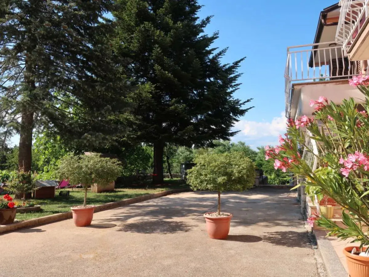 Mirjana (LBN312) 22664