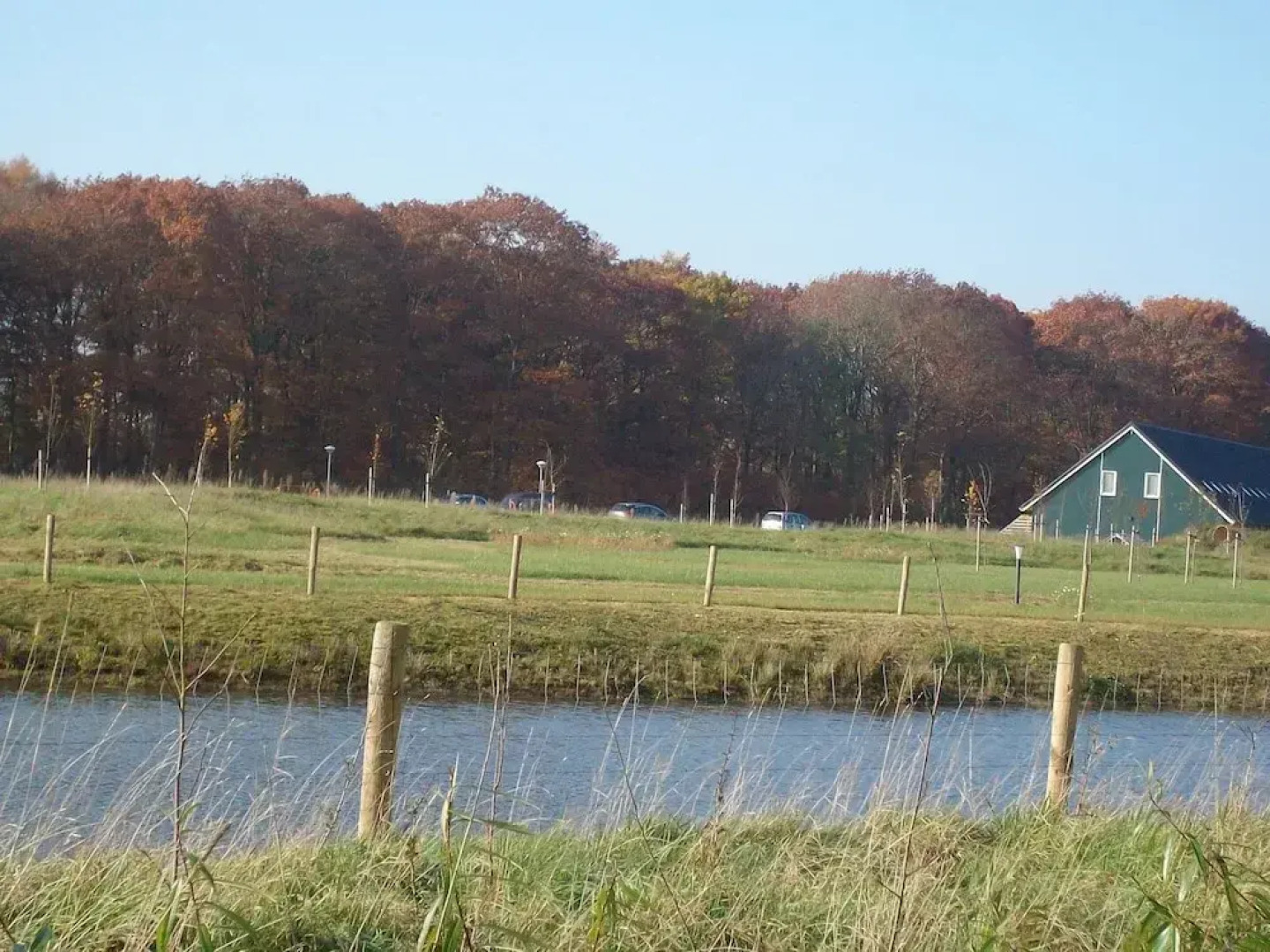 Quiet Glade Stay With Kid