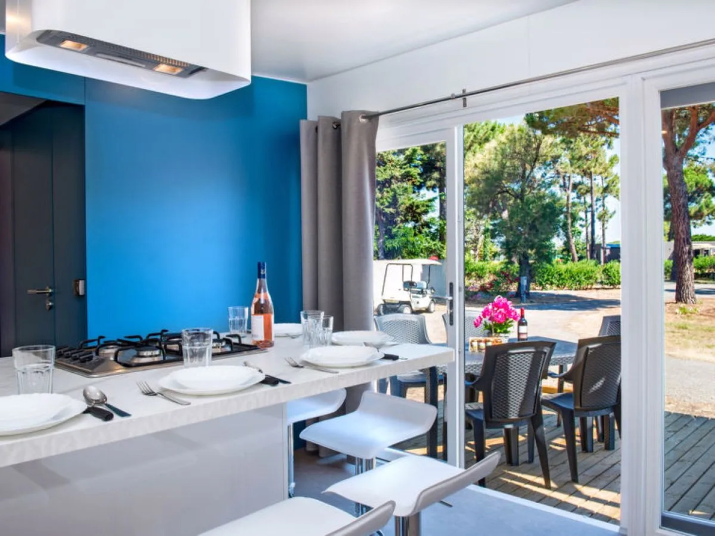 Domaine Les Mûriers (VED113)