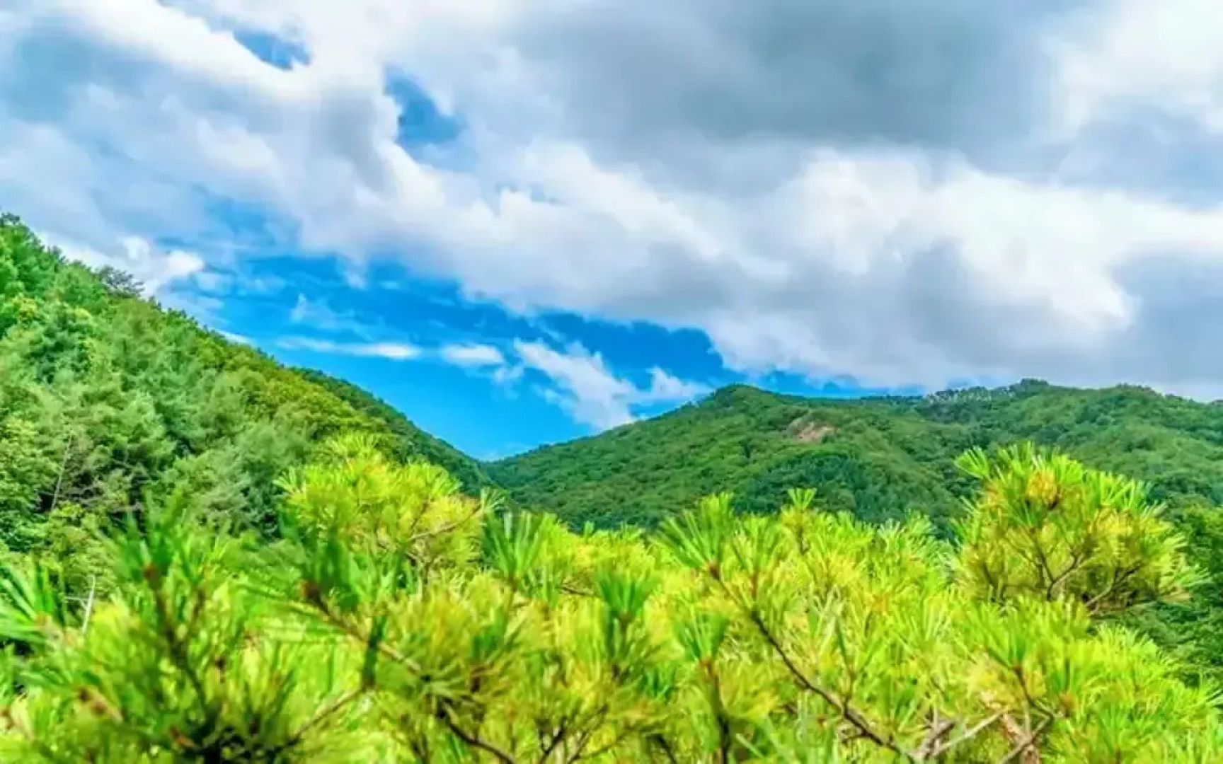 Yangpyeong Galgisan Forest Hill Pension