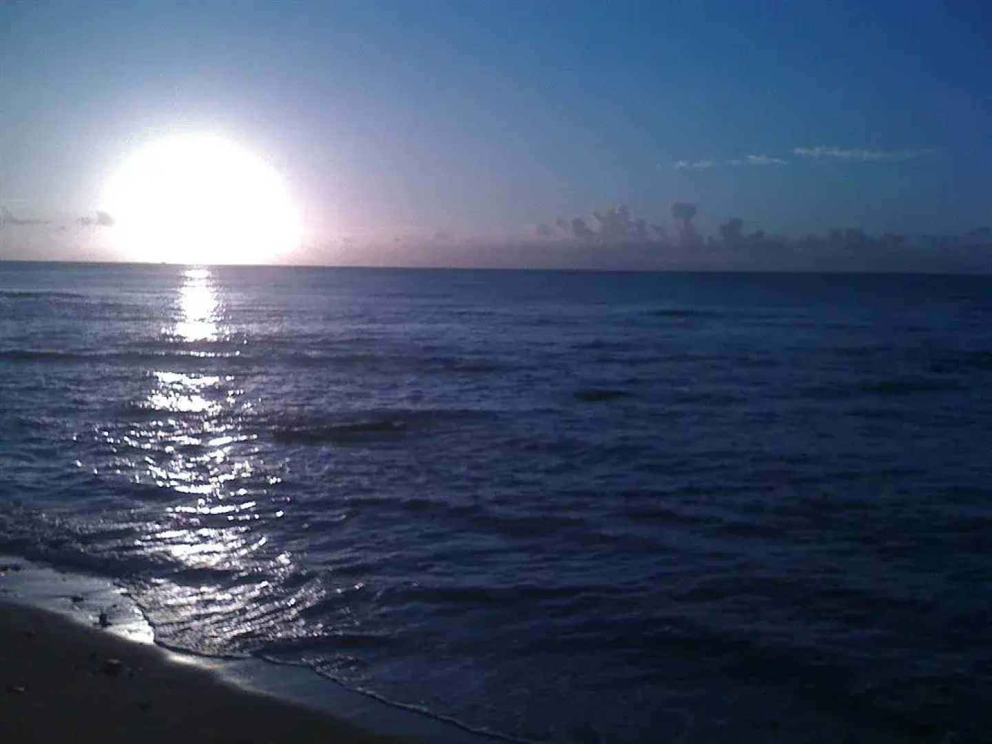 Caribe Playa Beach Resort