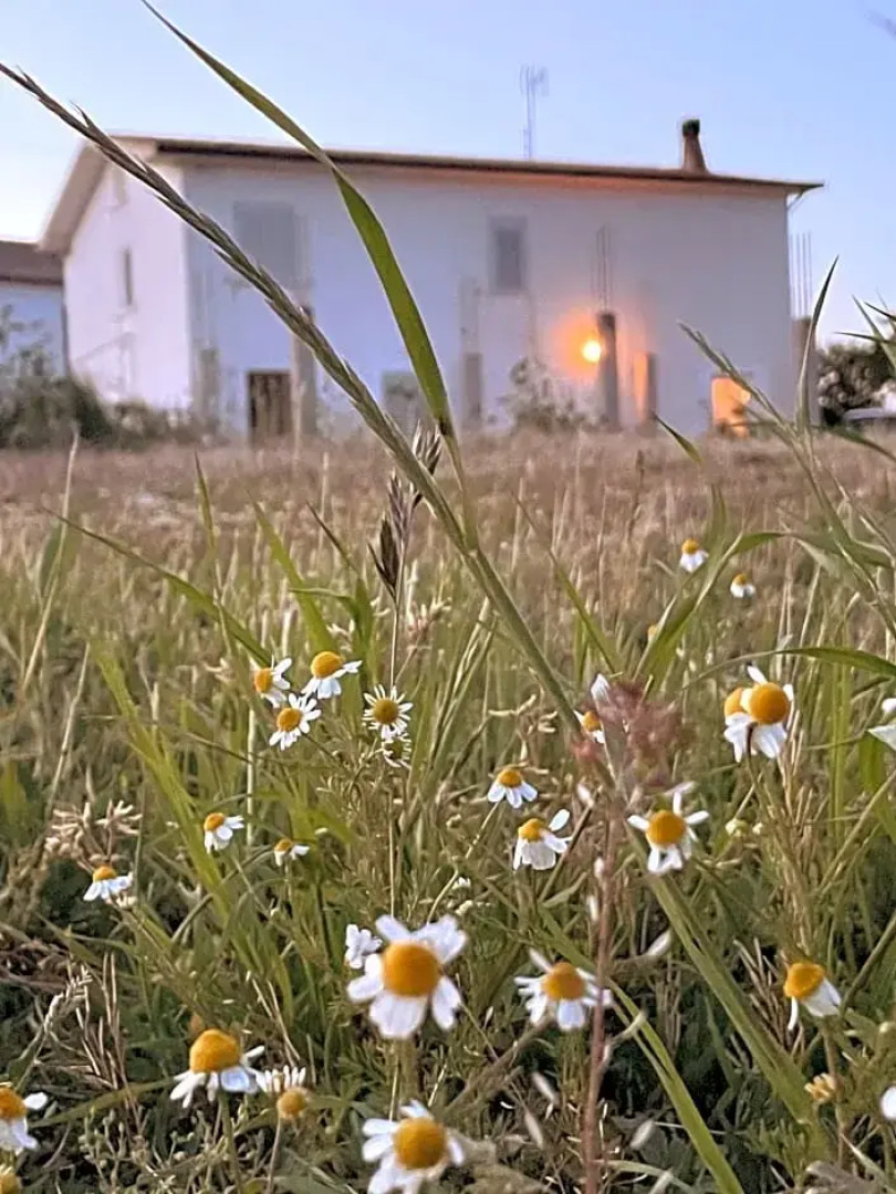 La Casa Degli Artisti