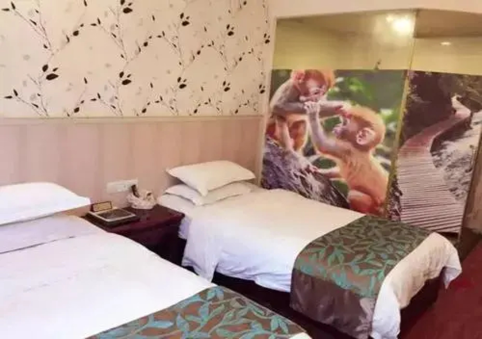 Jinli Holiday Hotel - Emeishan