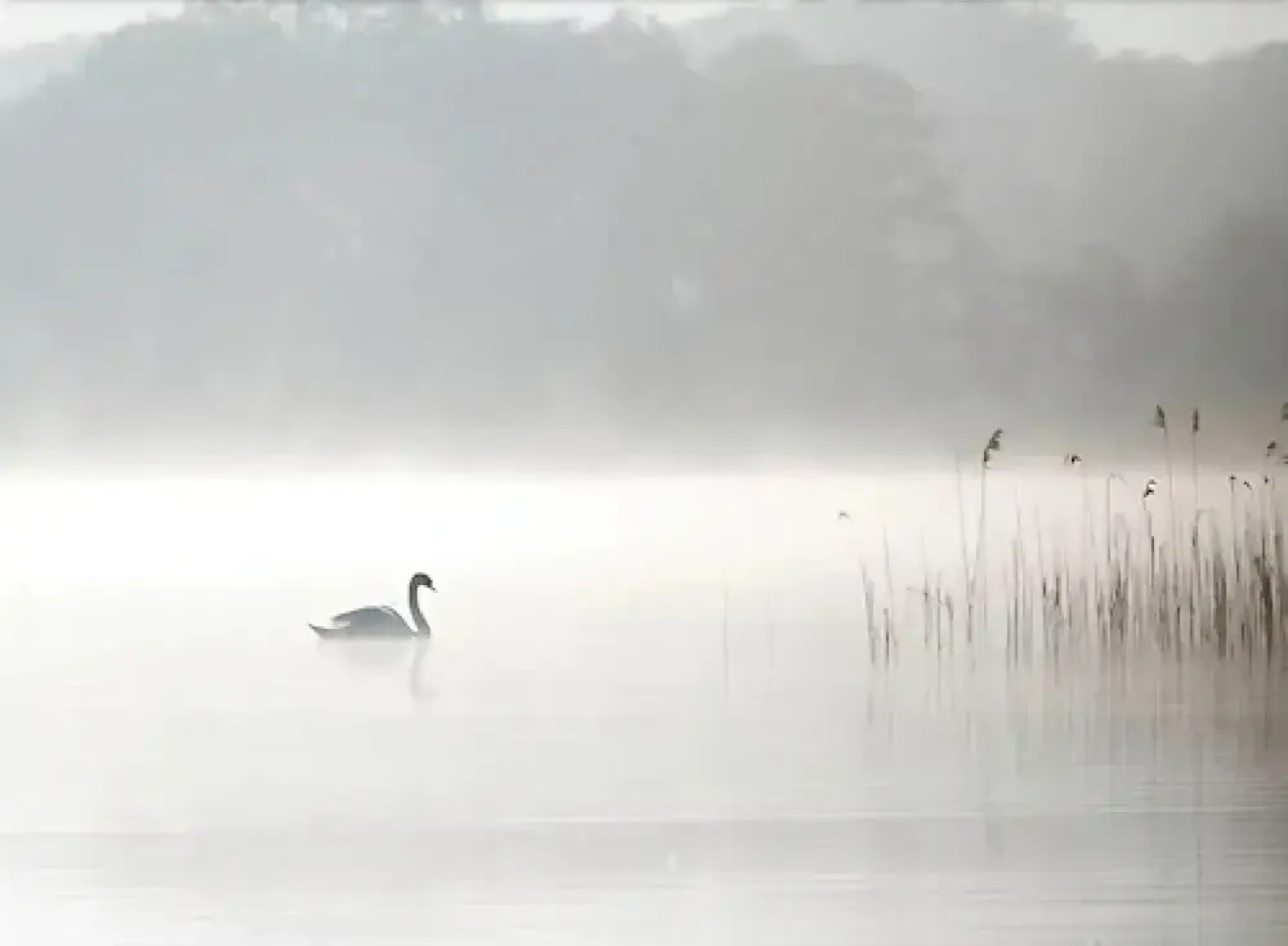 Hotel Altes Zollhaus