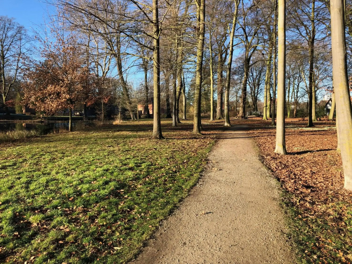 Hotel am Doktorplatz