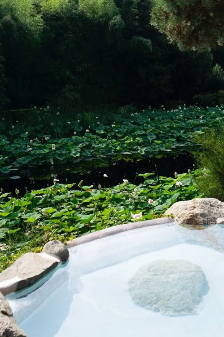 Tranquil 1BR Villa in Revislate