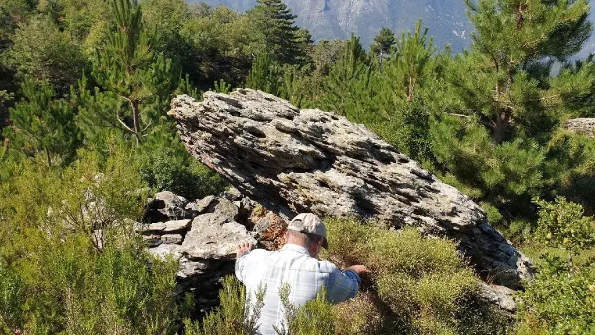 Alagonia Country Homes