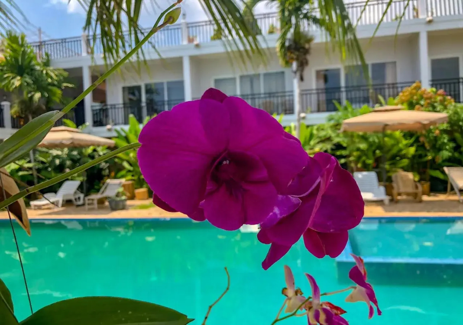 Malis Coconut Resort