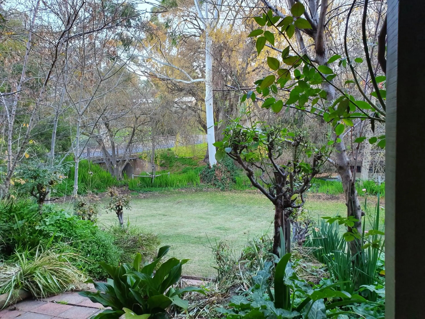 Angaston by the Winter Creek