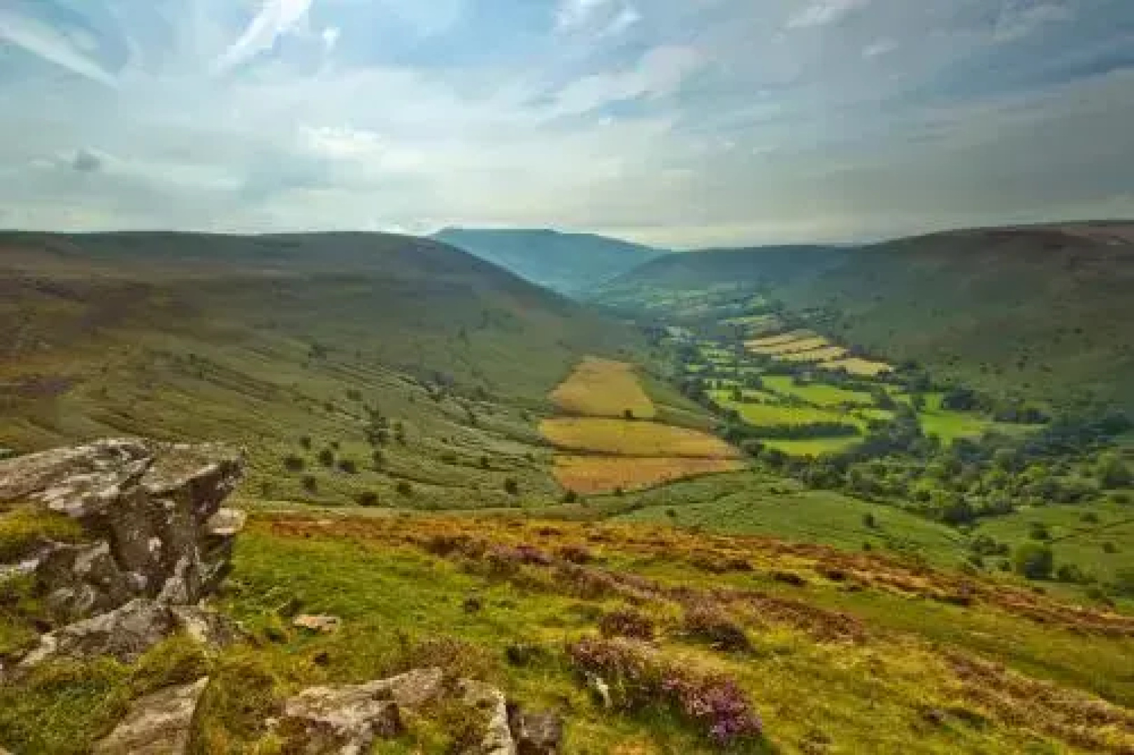 Brynderwen