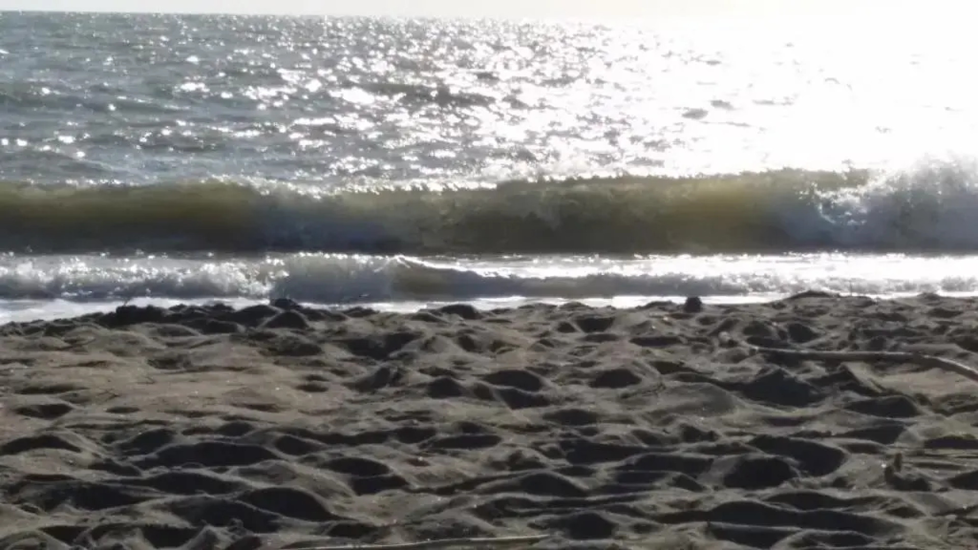 Agriturismo Sant Anna Quarter Horse