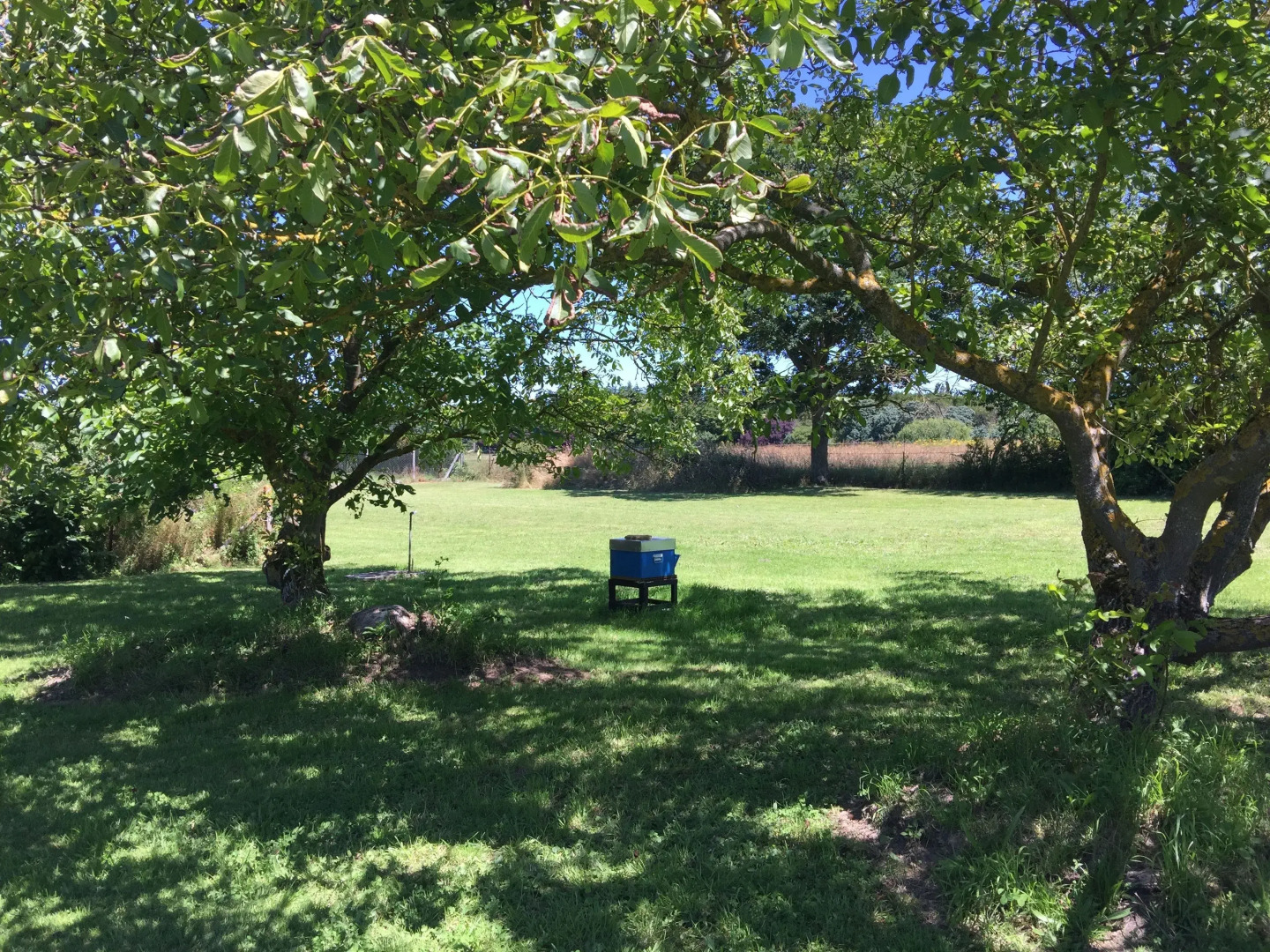 Jolie halte normande