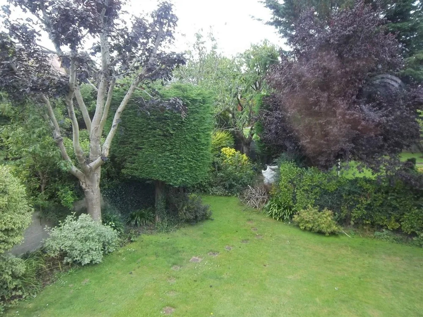 Donnybrook Lodge B&B