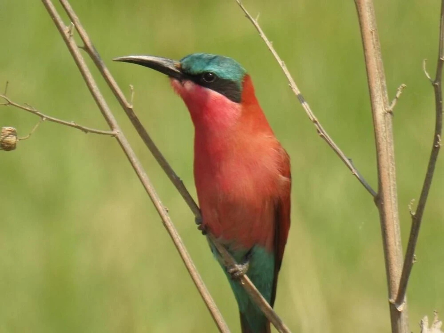 Caprivi Mutoya Lodge & Campsite