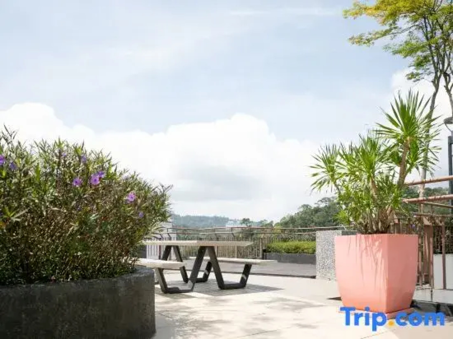 Urban Tropic@Midhill Genting Highland (Free Wi-Fi)