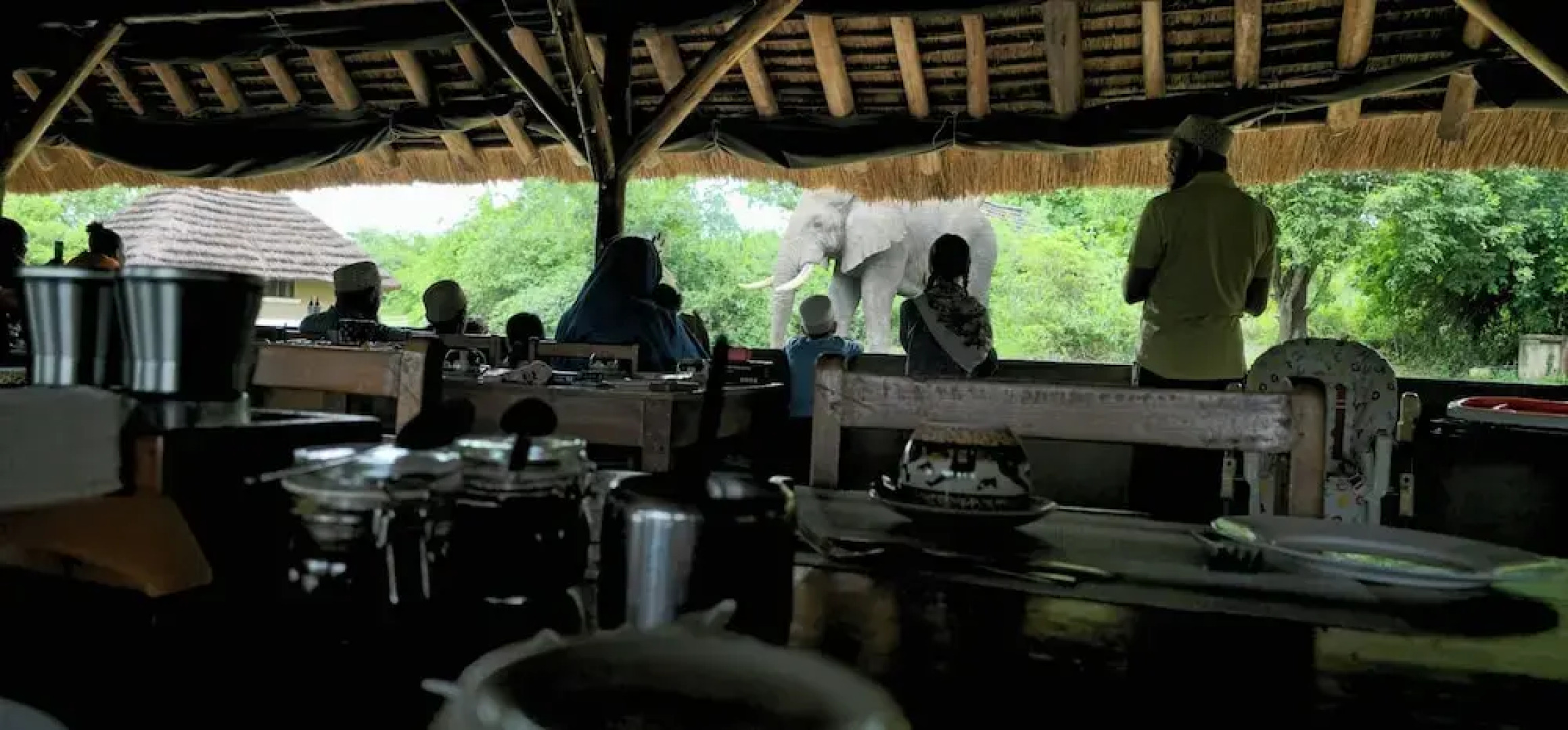 Bwana Tembo Safari Camp