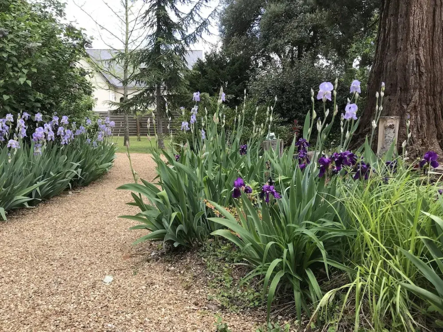 Clos des 3 Rois Chambres Hôtes Thouarcé