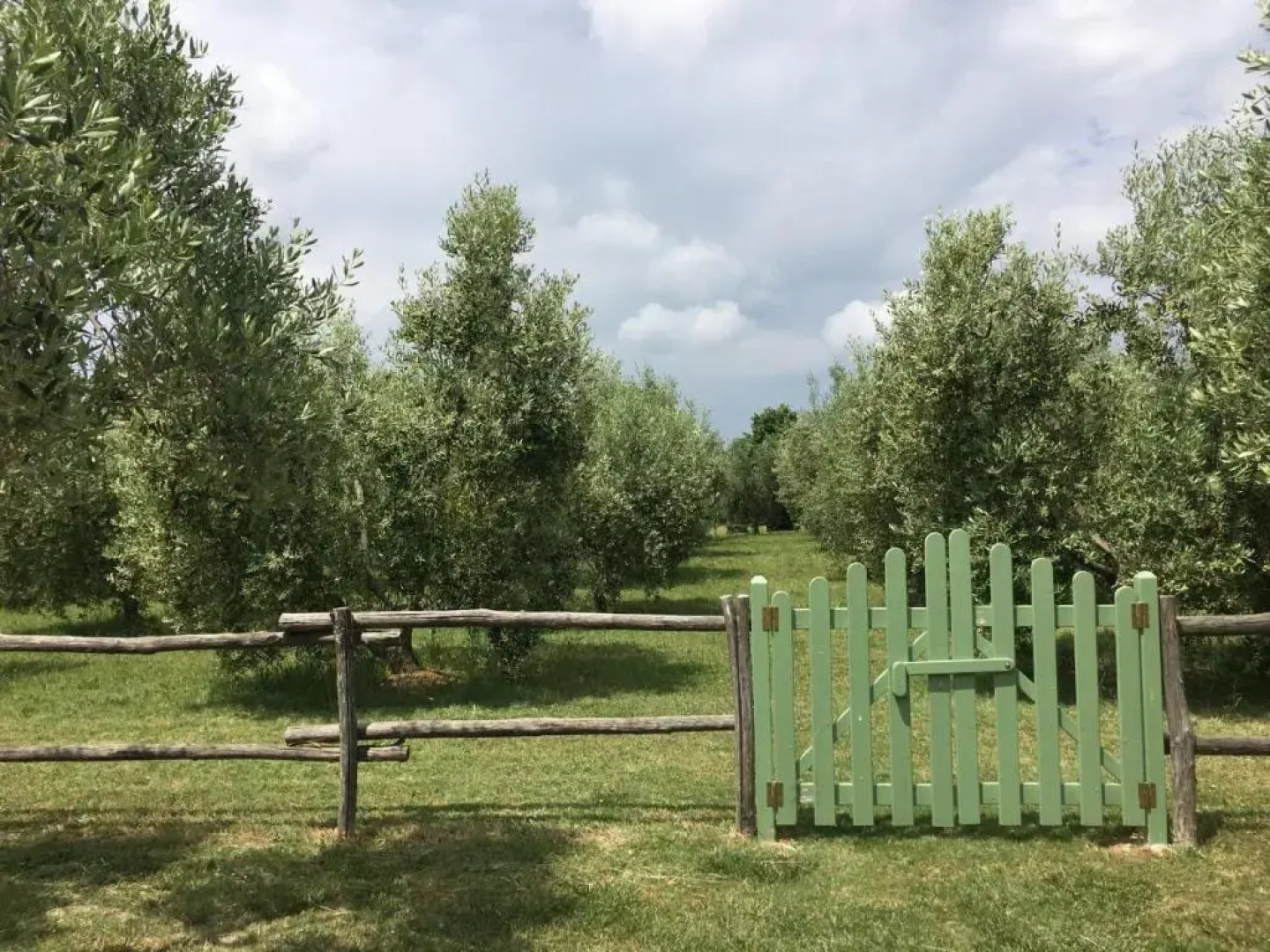 TOSCANA TOUR - Cottage Riccardo Bibbona