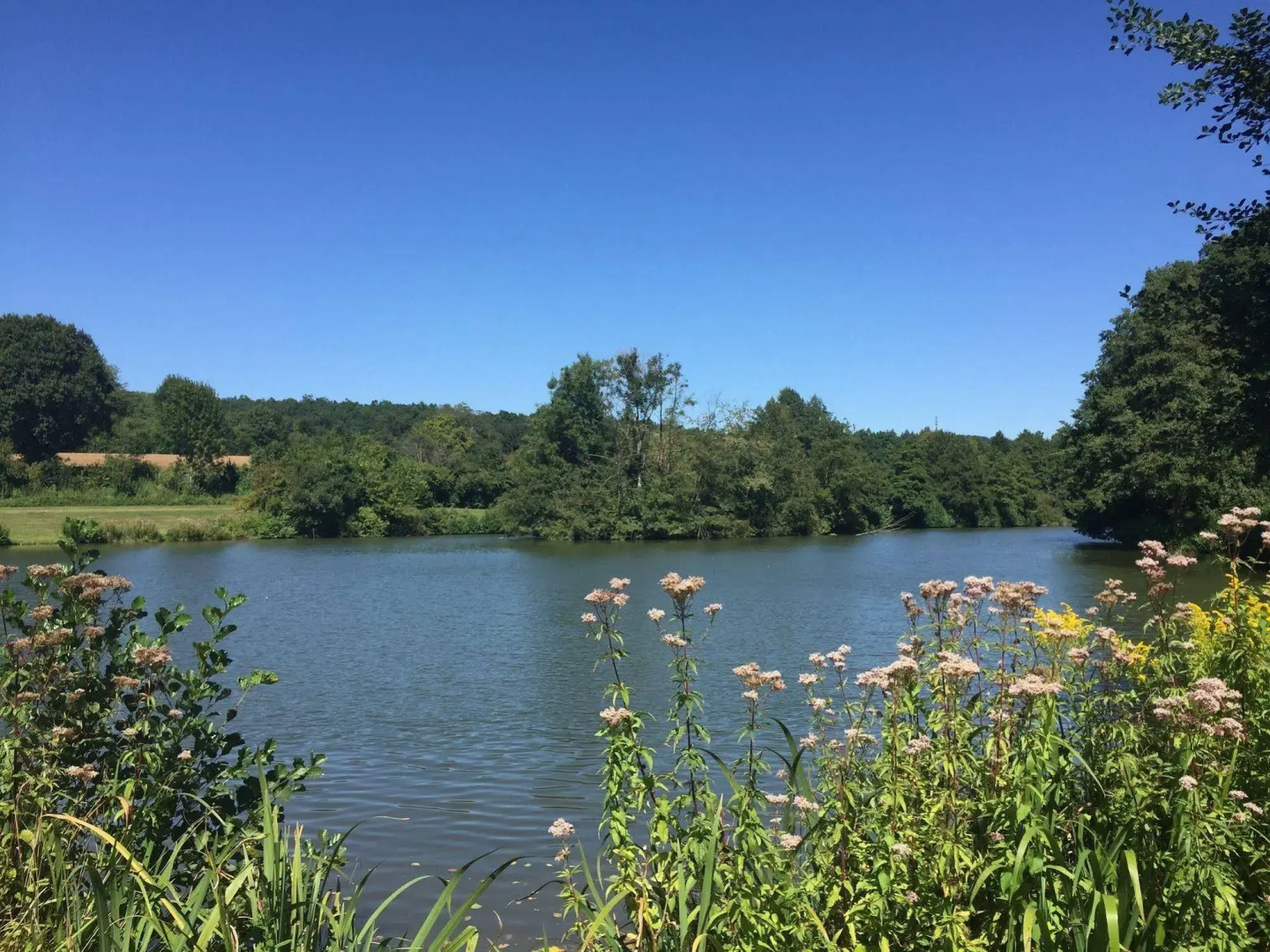 Hotel - Restaurant Kreuzberghof