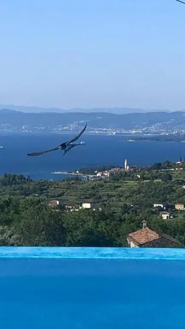 Apartmaji Meli Pu 2