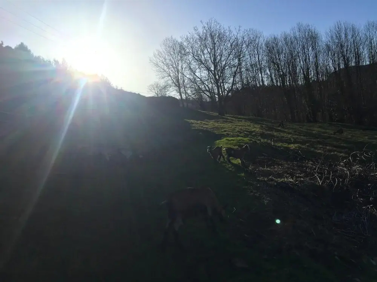 House With one Bedroom in Fraize, With Enclosed Garden and Wifi