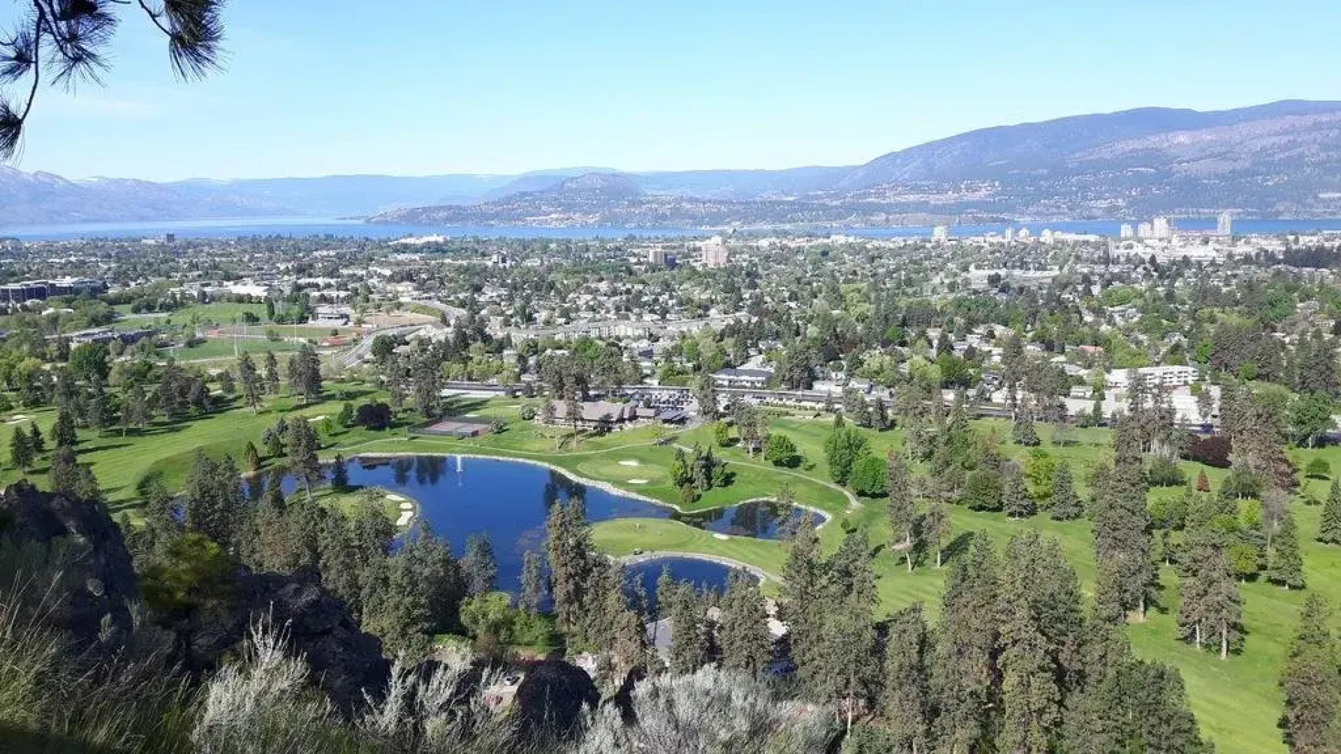 WineDownHere - Lic. 75806