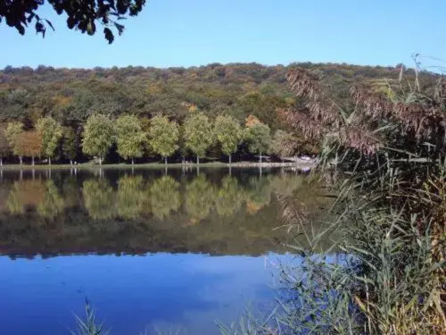 Hotel Restaurent Des Lacs