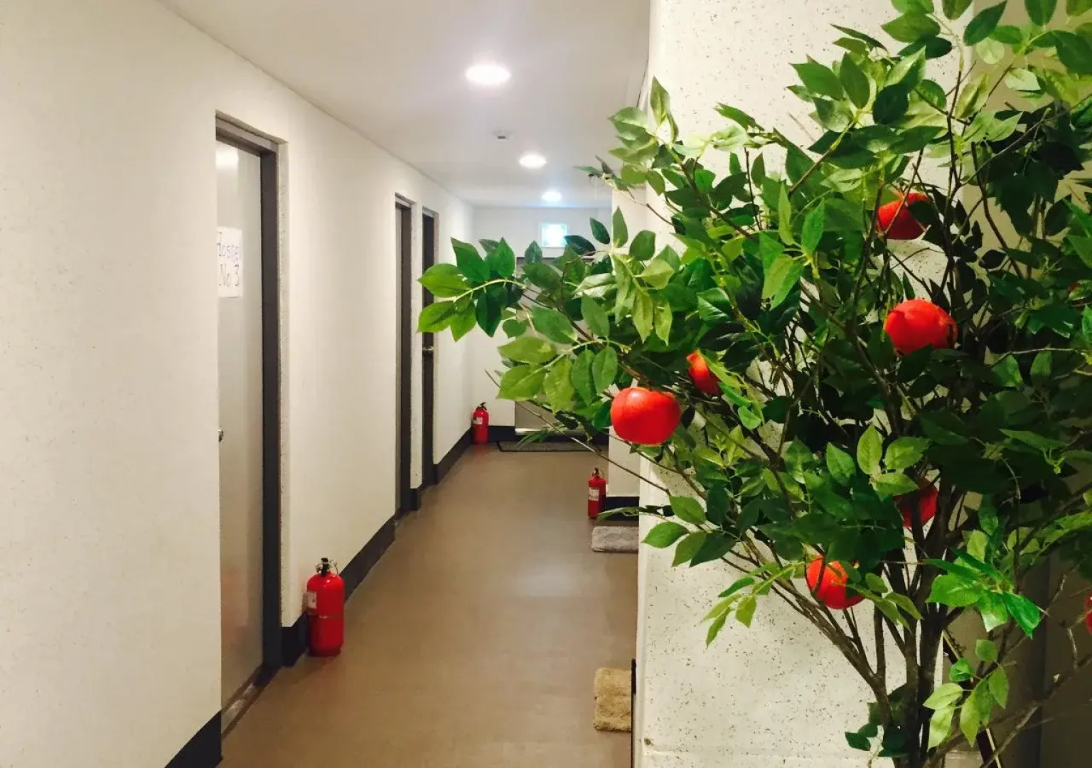 Empathy Dongseongro Guesthouse