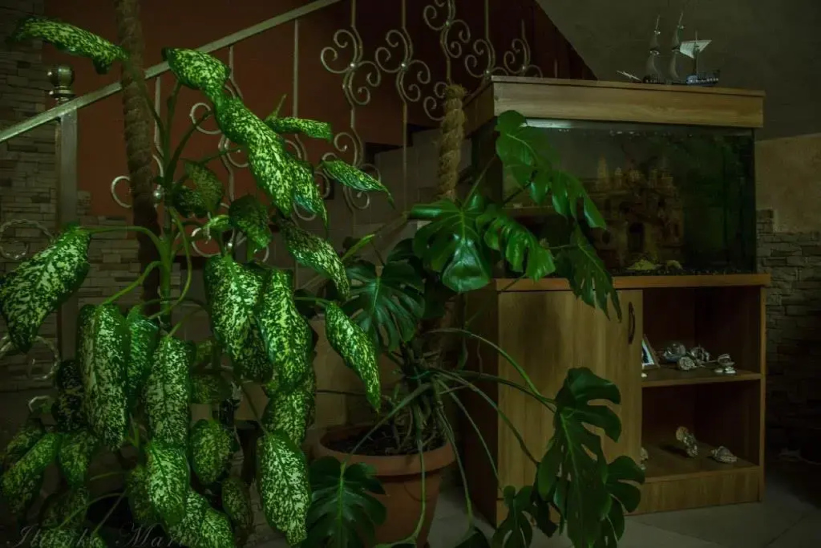 Старая мельница