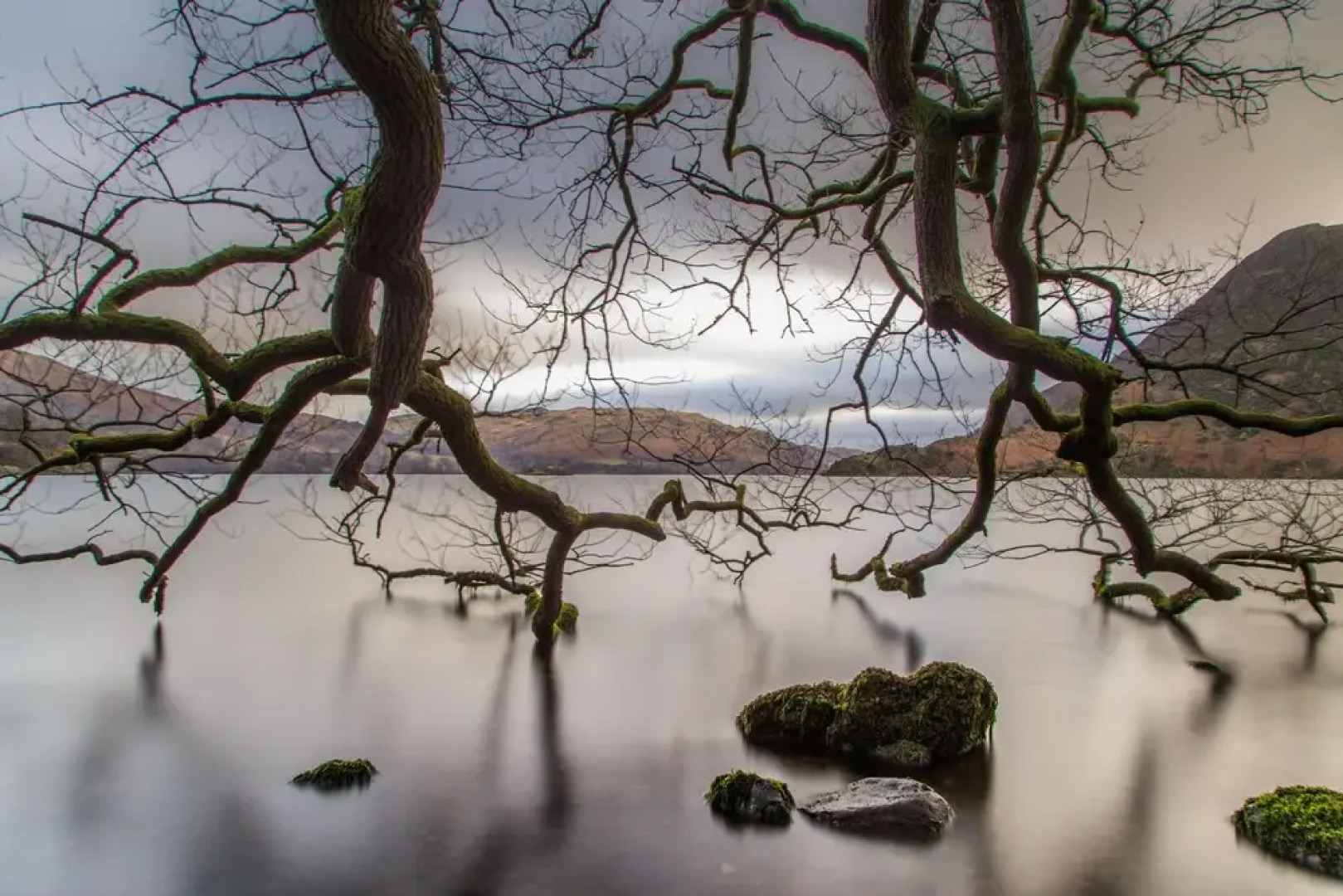 Fairlight Guesthouse