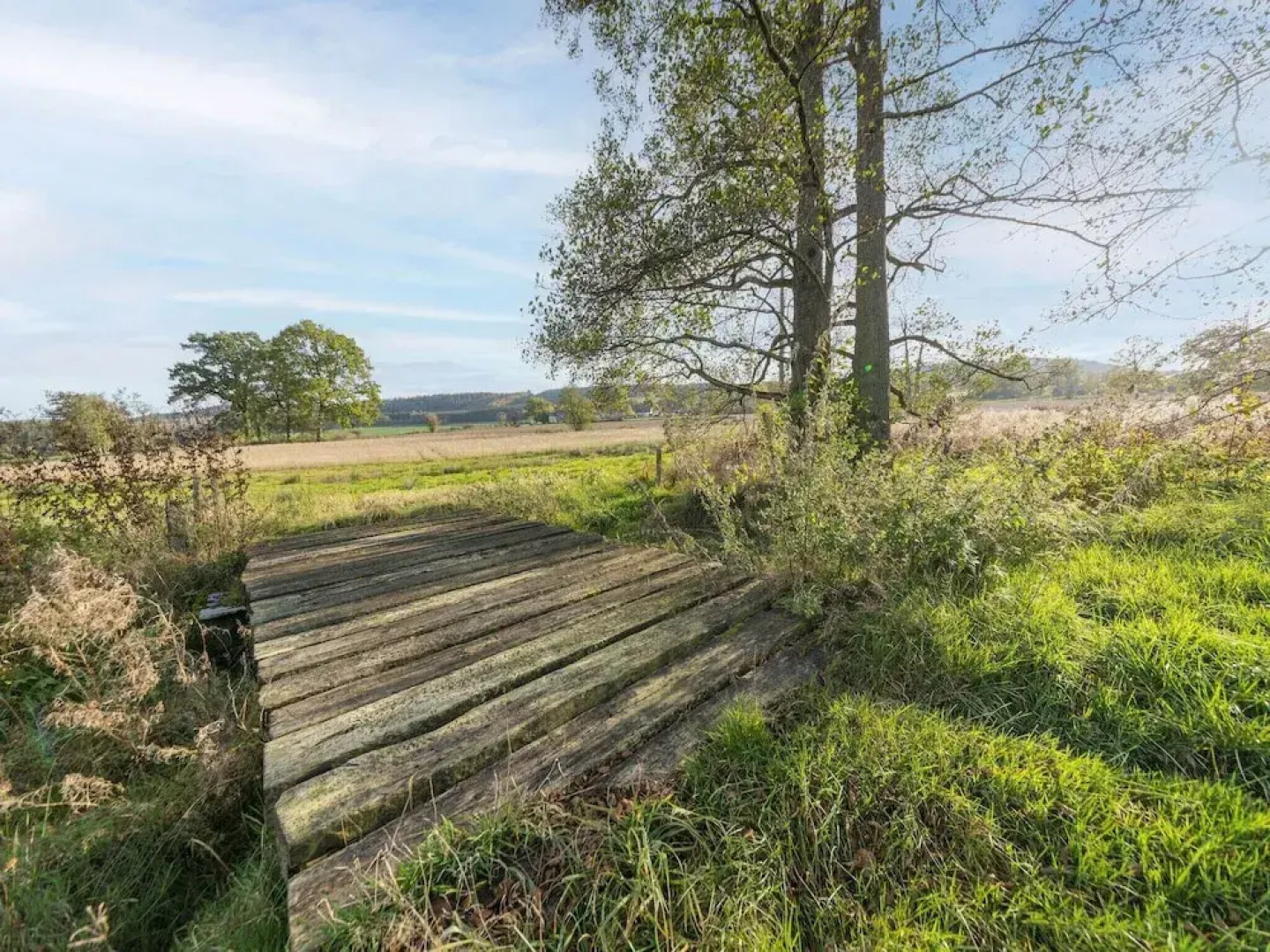 Farmhouse Kalys in Vielsalm With 180° View of the Forest