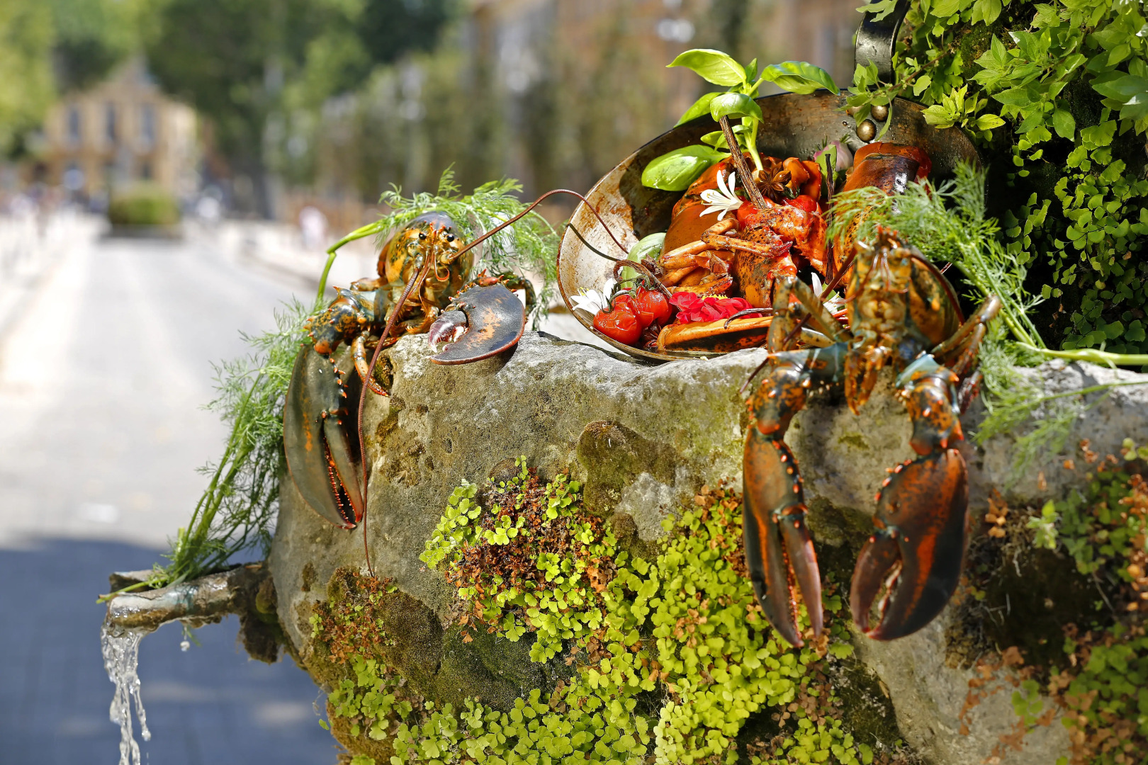 Negrecoste Hotel & Spa