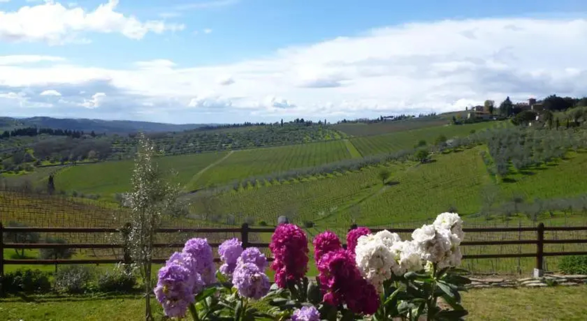 Immersi nella campagna Toscana