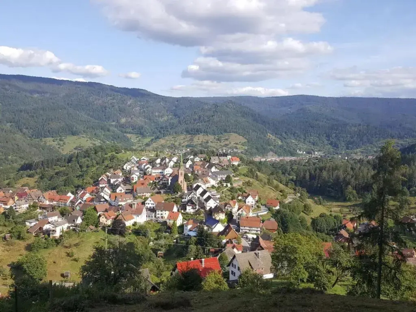 Ferienwohnung Pusteblume