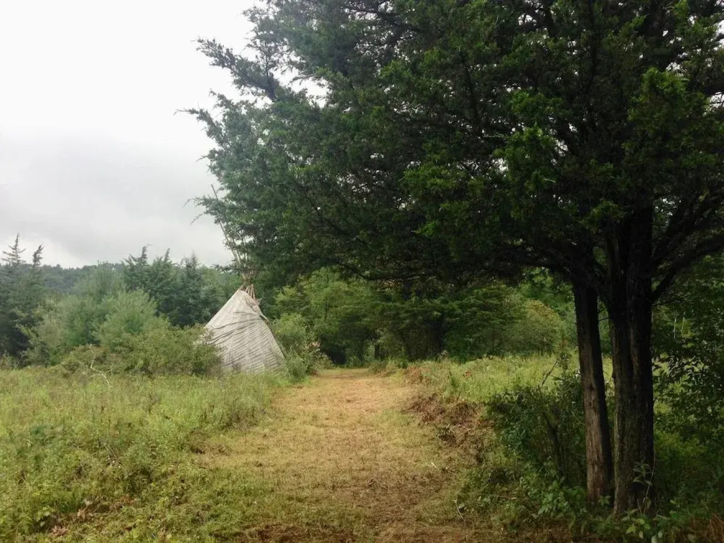 Tentrr - Clove Mountain Meadow