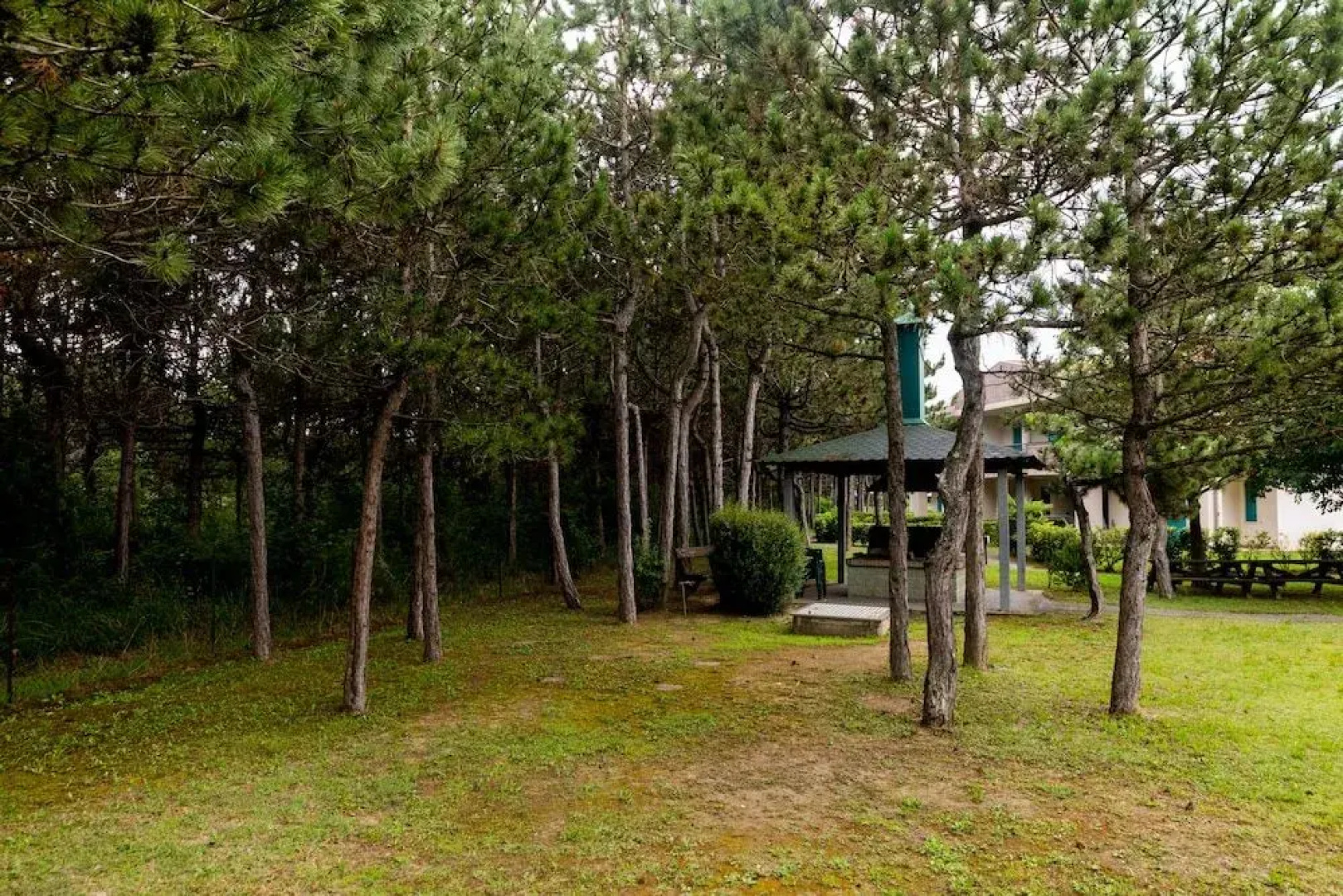 Summer Time Family Resort