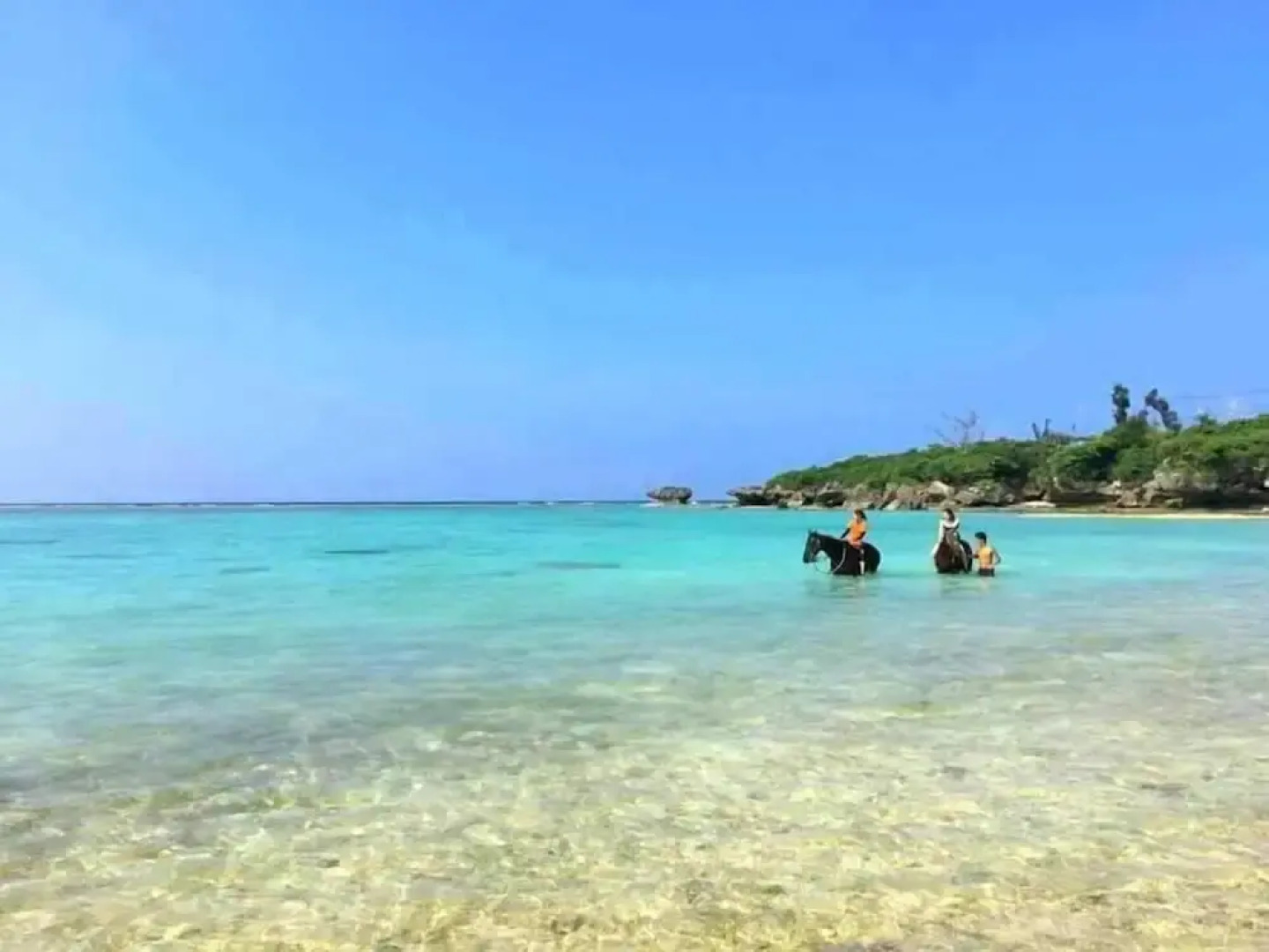 Muwmin Farm - Hostel