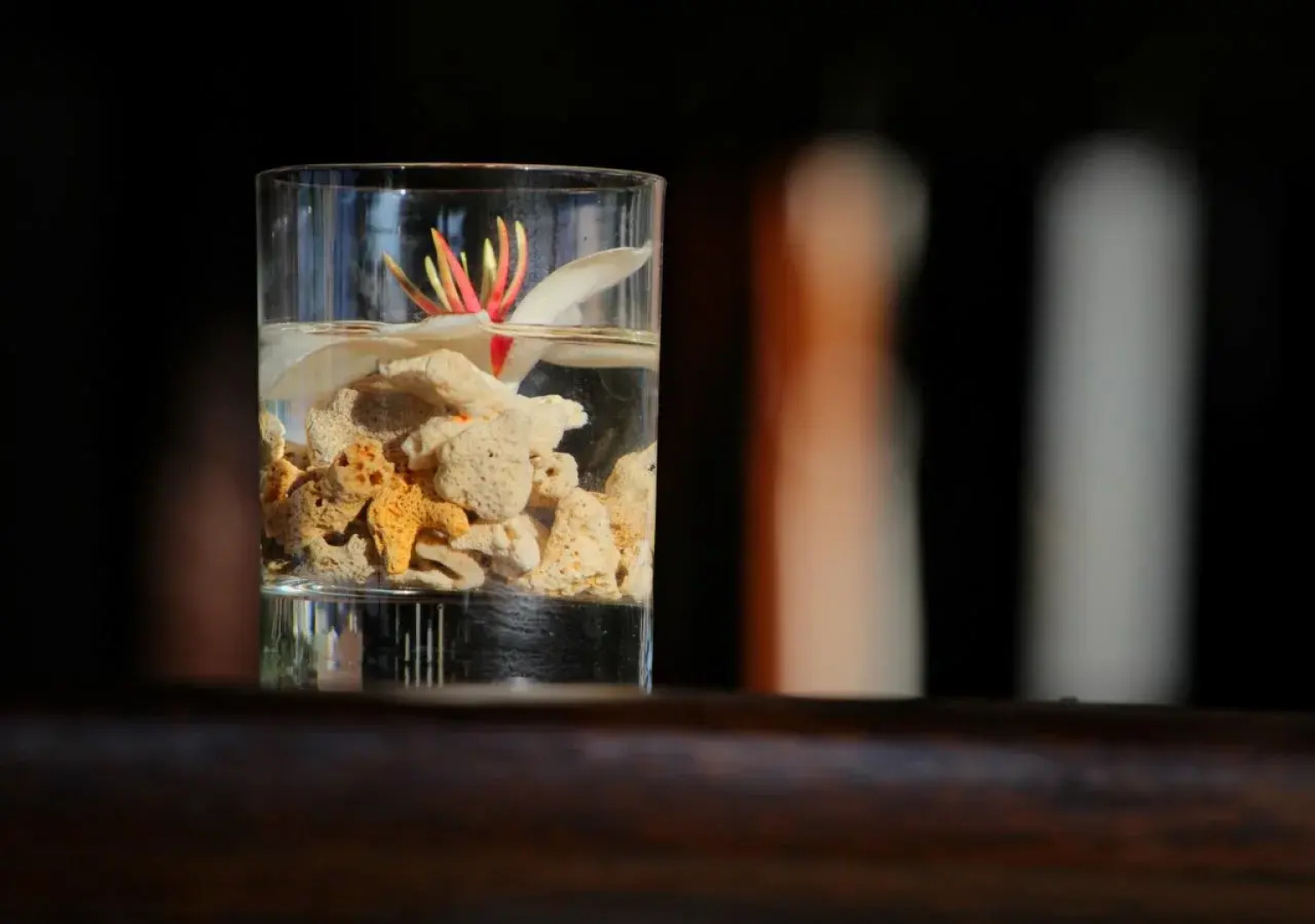 Mangrove Paradise Retreat