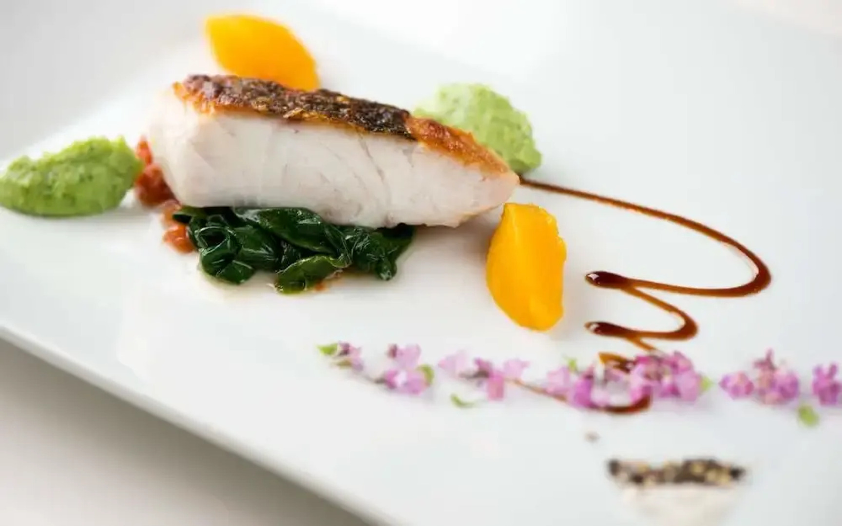 Takamiya Yunohama Terrace Seiyou Saryo