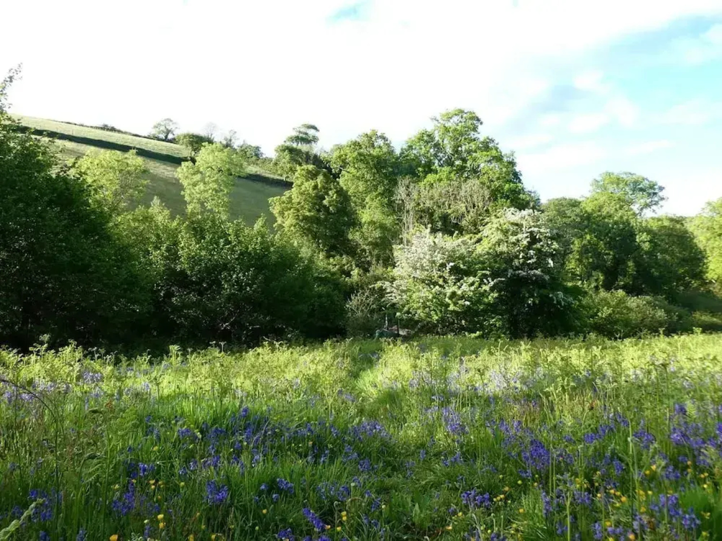Roundhouse Yurt, Stunning Views, Totnes Dartmouth