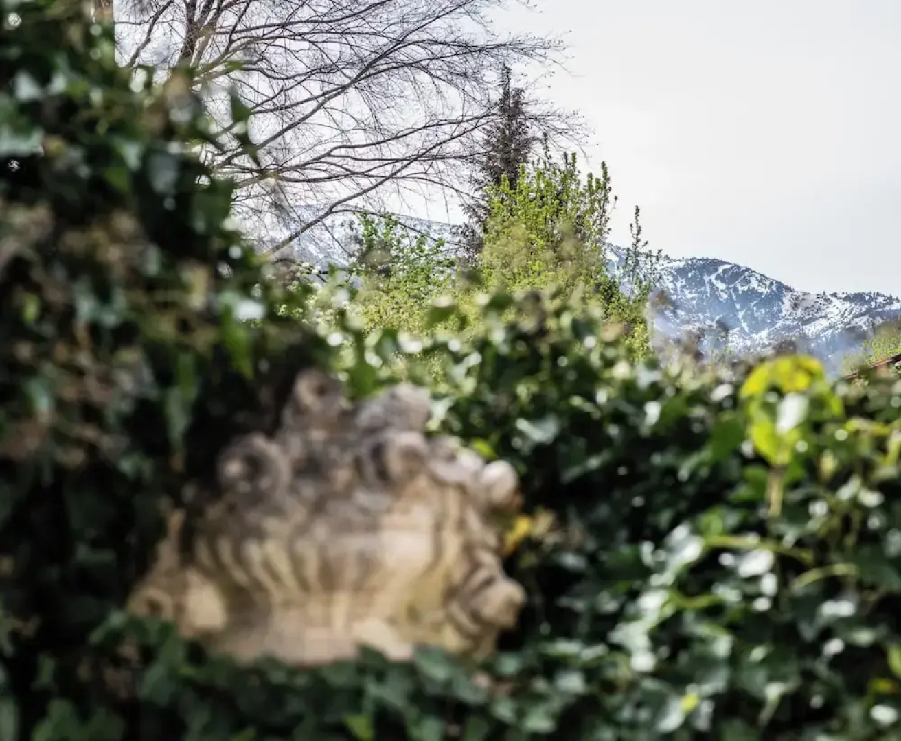Haus Lesch - Stilvolle Appartements mit tollem Bergblick in Kreuth am Tegernsee