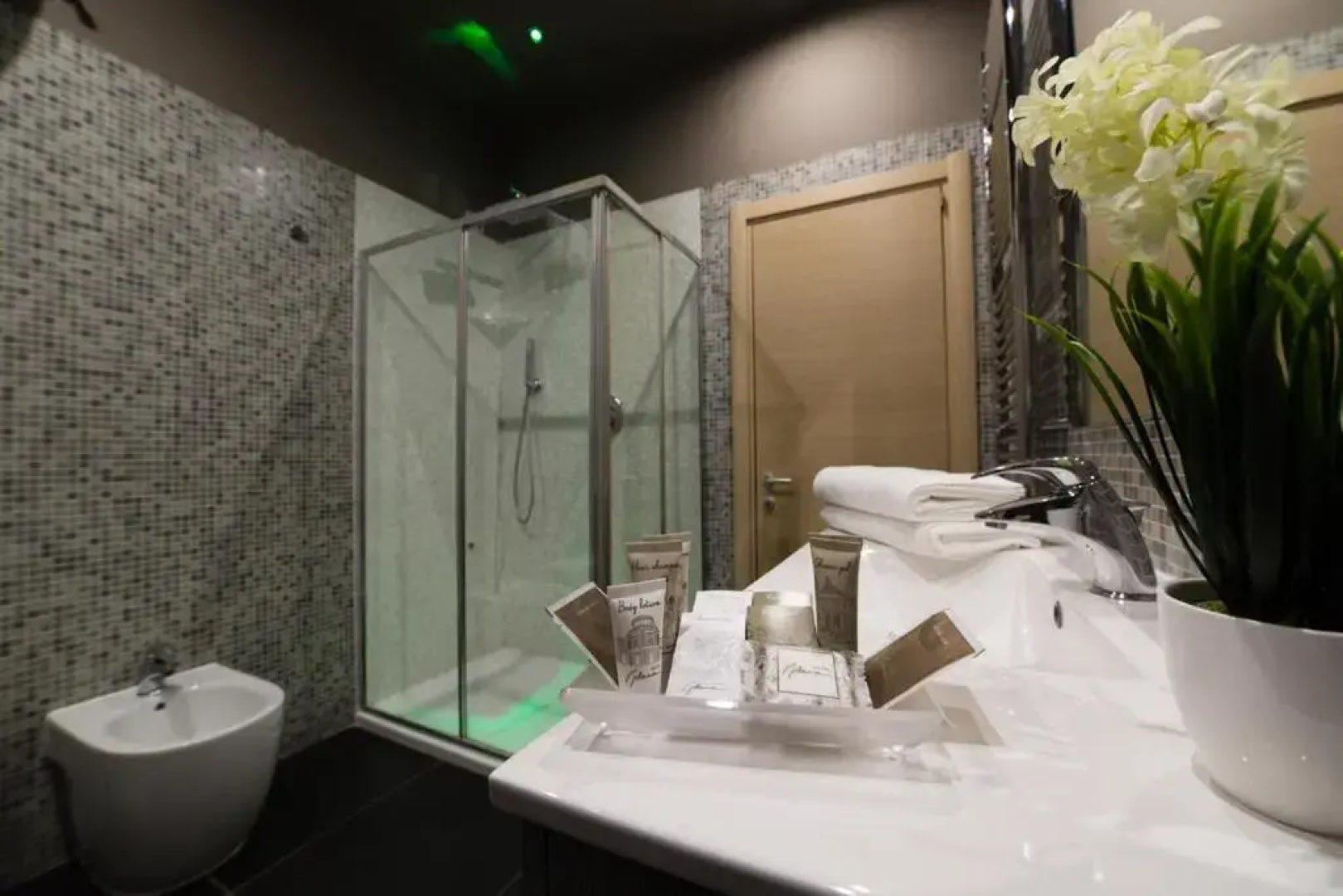 Hotel Plana