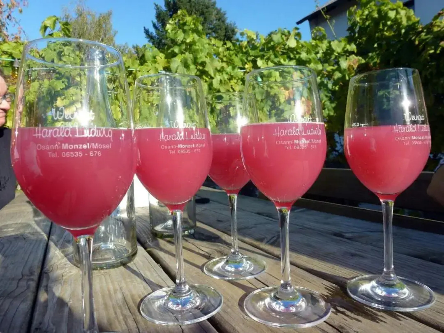 Weingut Harald Ludwig