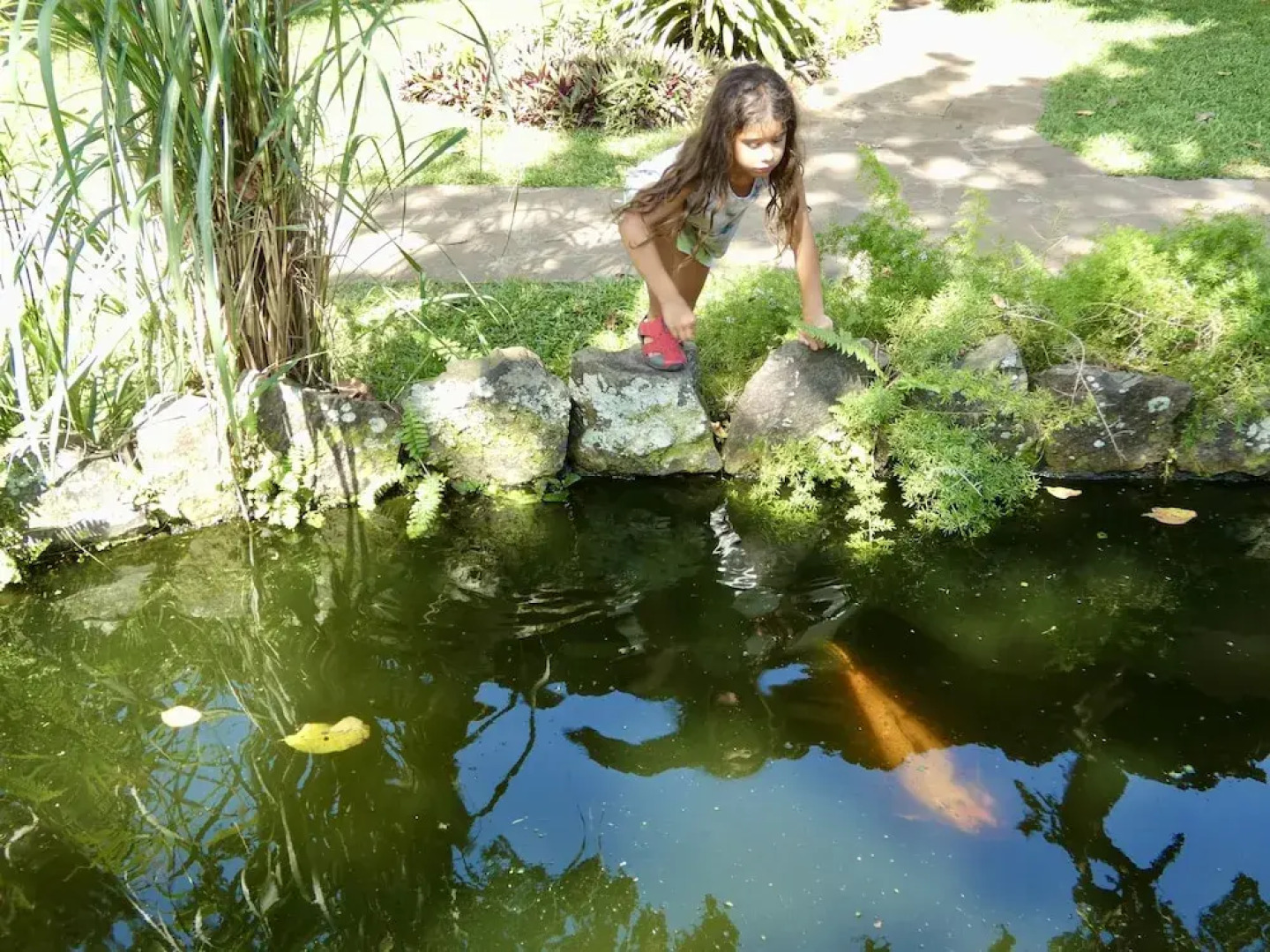 Pousada Coqueiro Verde